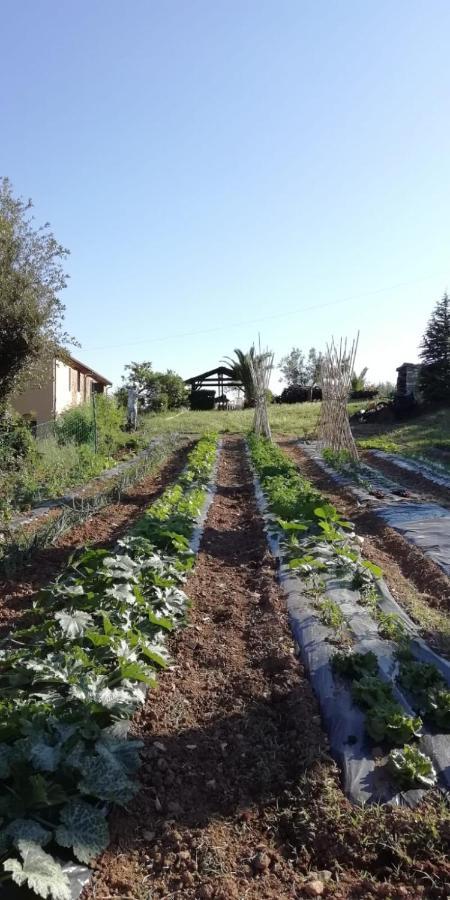 Podere Baloo سوفيريتو المظهر الخارجي الصورة