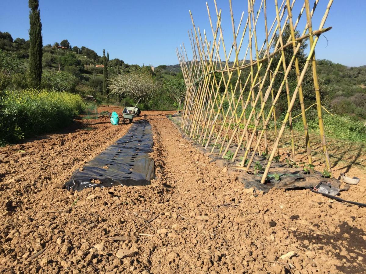 Podere Baloo سوفيريتو المظهر الخارجي الصورة